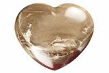 Polished Triassic Petrified Wood Heart - Madagascar #194899-1